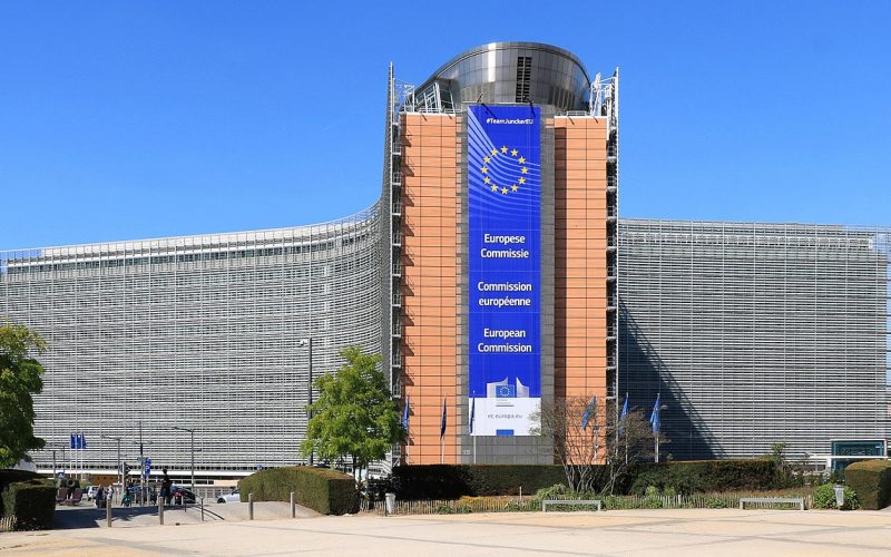 avansul-inteligentei-artificiale,-sabotat-de-bruxelles.-avertismentul-despre-pericolul-pentru-ai-al-reglementarilor-excesive