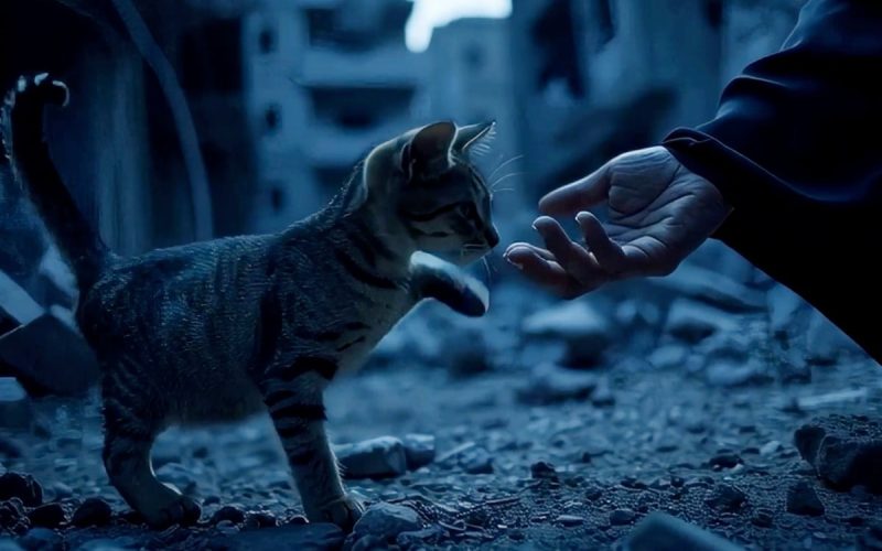 inteligenta-artificiala-redefineste-cinematografia-–-scurtmetrajele-cu-iz-hollywoodian,-realizate-in-cateva-saptamani,-nu-ani
