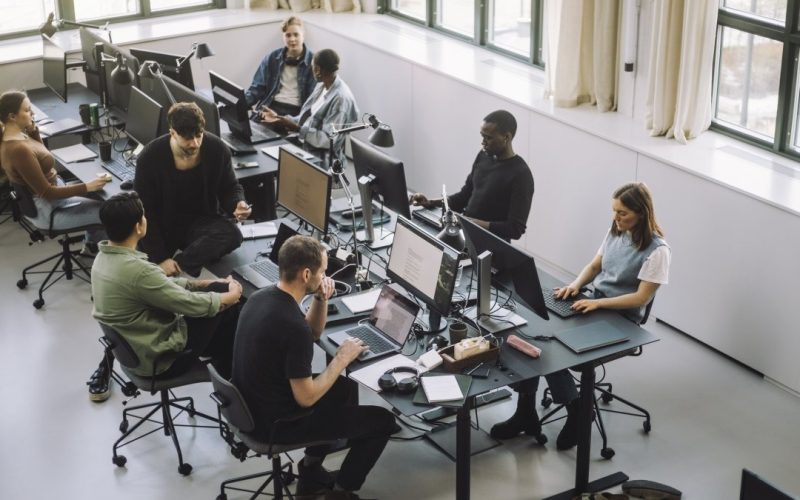 absolventii-de-informatica-se-confrunta-cu-dificultati-majore-pe-piata-muncii-in-2025.-fenomenul-bizar-din-spate