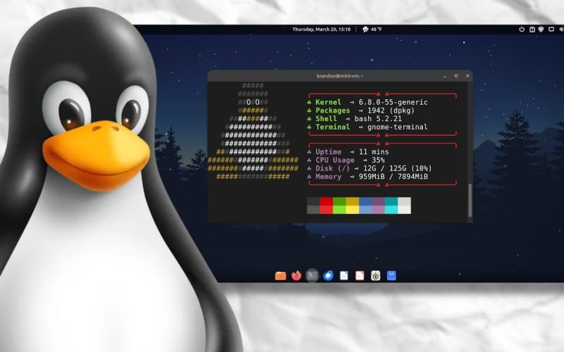 cum-te-descurci-in-linux-daca-esti-incepator,-pas-cu-pas:-trucuri-pentru-o-tranzitie-fluida