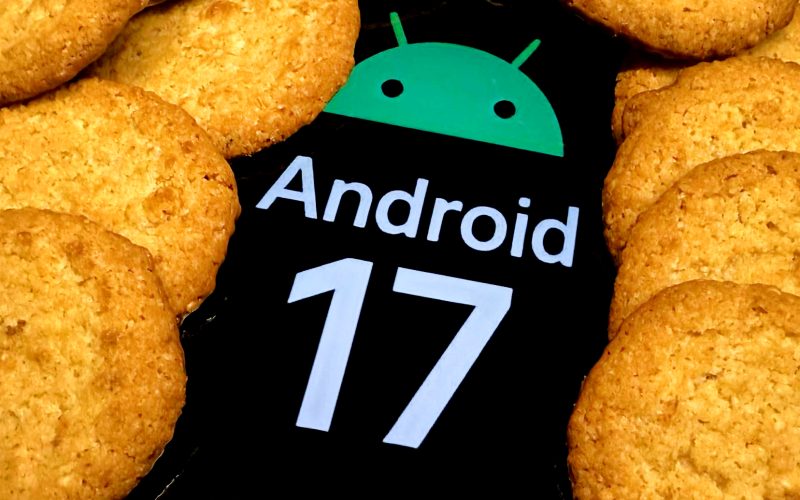 android-17-poarta-un-nume-inspirat-de-o-rulada-cu-scortisoara.-google-pastreaza-reteta-secreta-a-deserturilor-interne