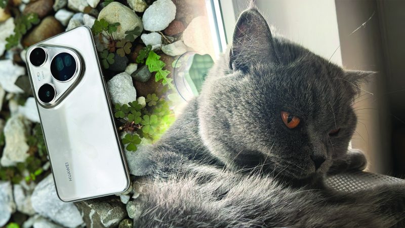 review-huawei-pura-80-ultra-–-cat-de-bun-este-cel-mai-bun-telefon-de-poze-in-2025.-te-uimeste-pe-timp-de-noapte-si-la-zoom,-dar-isi-face-banii-in-orice-scenariu