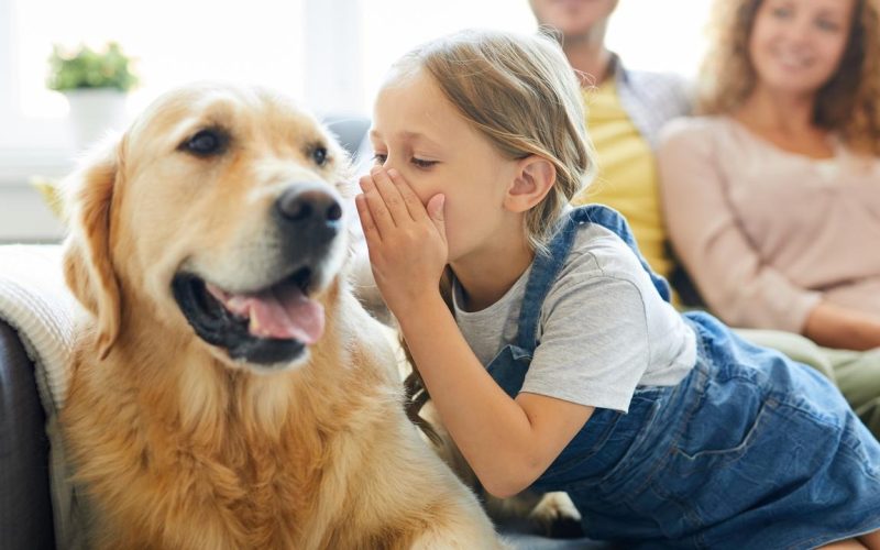 comunicarea-dintre-oameni-si-animale,-mai-aproape-de-realitate-ca-niciodata.-cum-ajuta-inteligenta-artificiala-sa-intelegem-ce-vor-„necuvantatoarele”-sa-ne-transmita
