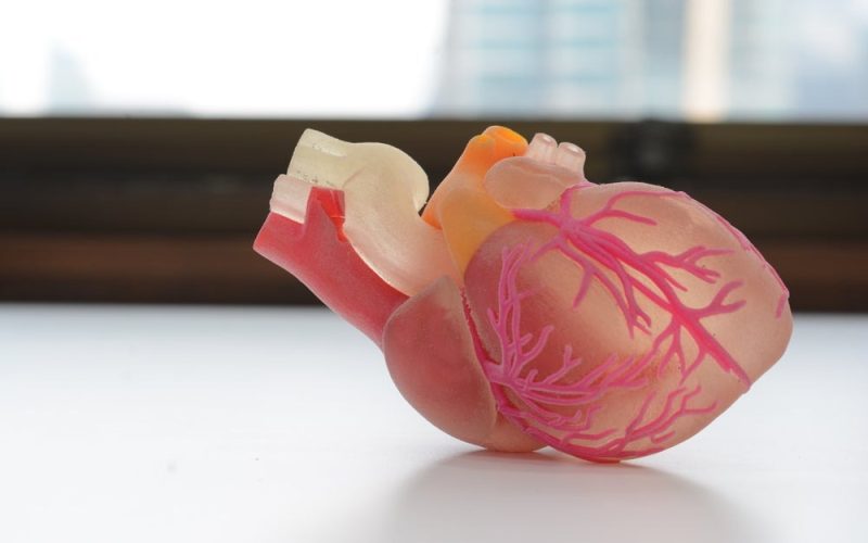 interviu-o-noua-era-in-cercetarea-cancerului:-cum-transforma-vital3d-modelele-tumorale-bioprintate-–-vidmantas-sakalys,-ceo-vital3d-technologies