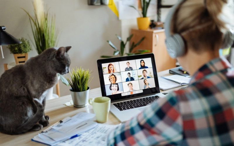 meseriile-care-vor-fi-inlocuite-de-inteligenta-artificiala-si-joburile-care-nu-pot-fi-facute-de-ai.-cum-iti-alegi-cariera-in-2025