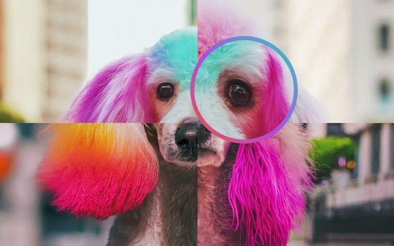 cum-verifici-rapid-daca-o-imagine-este-generata-cu-inteligenta-artificiala:-noul-instrument-google-care-te-ajuta-sa-afli-adevarul