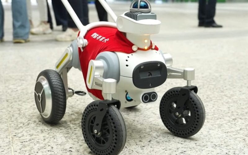 un-robot-cu-ai-preia-rolul-cainelui-ghid:-experiment-fara-precedent-pentru-nevazatori-la-metrou